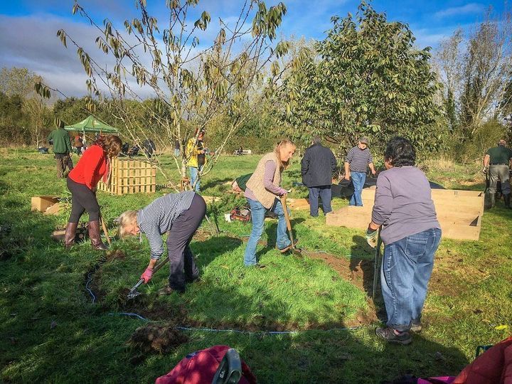 Nature Discovery Centre - Community Garden