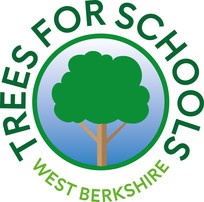 trees for schools