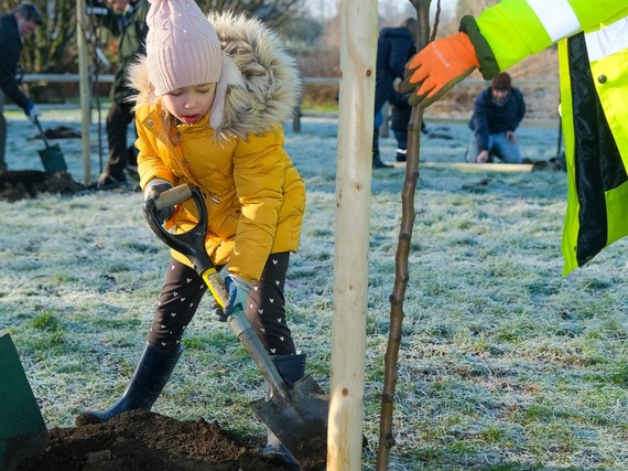 community orchard planting day