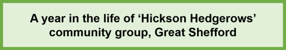 Hickson Hedgrows