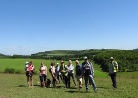 North Wessex Downs Walking Festival 2022