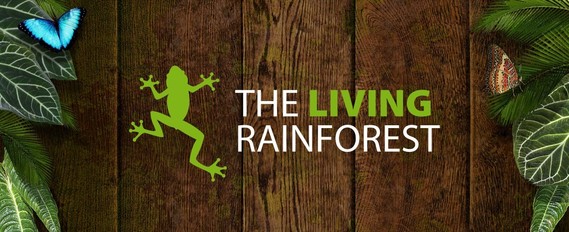 living rainforest