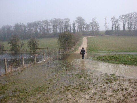 Groundwater flooding during the 2014 groundwater flood event in the Berkshire Downs