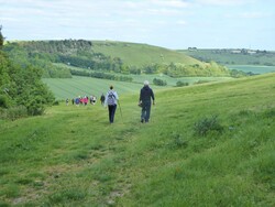 Walbury Hill walk