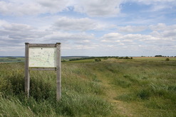 Ridgeway in West Ilsley