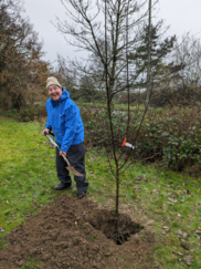 Billy Drummond and Community planting an orchard