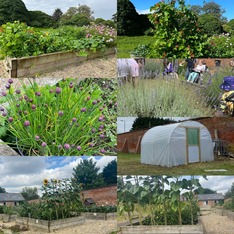 community garden