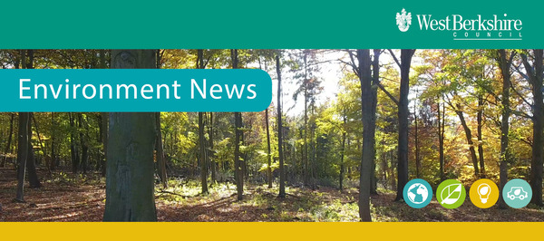 Environment News - Autumn header