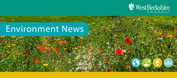 Environment News - Summer header