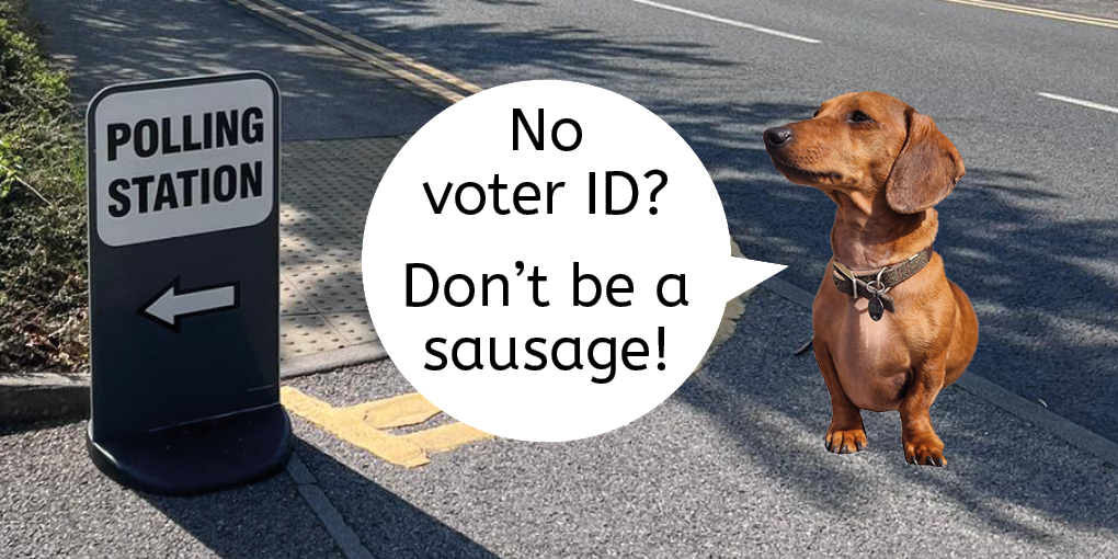 voter id