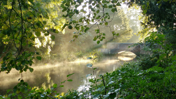 Local Nature Recovery Strategy