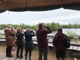 BBOWT Bird on the Balcony event