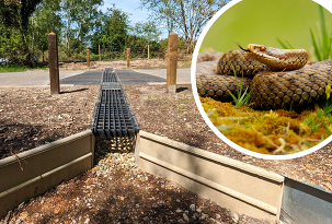 Adder Tunnel Greenham Common