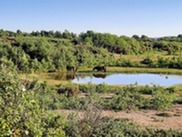Greenham common (courtesy of JHolmes)