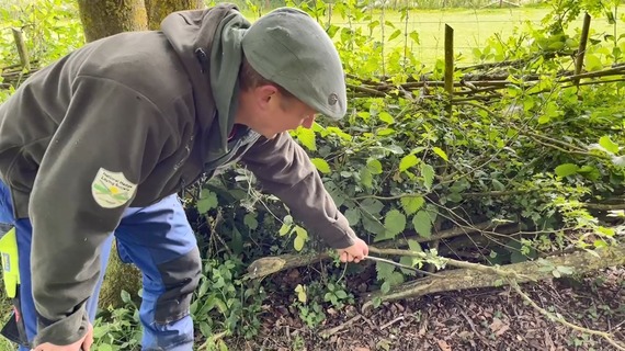 rural business grant