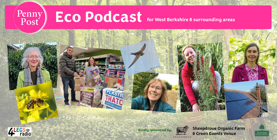 Eco Podcast 