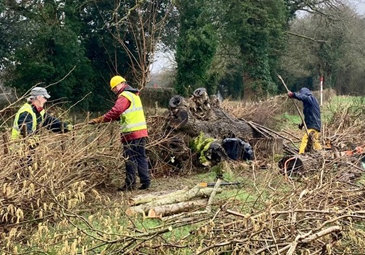 Hedge laying WBCS