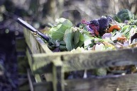 food waste to compost