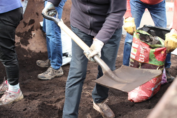 soil conditioner giveaway