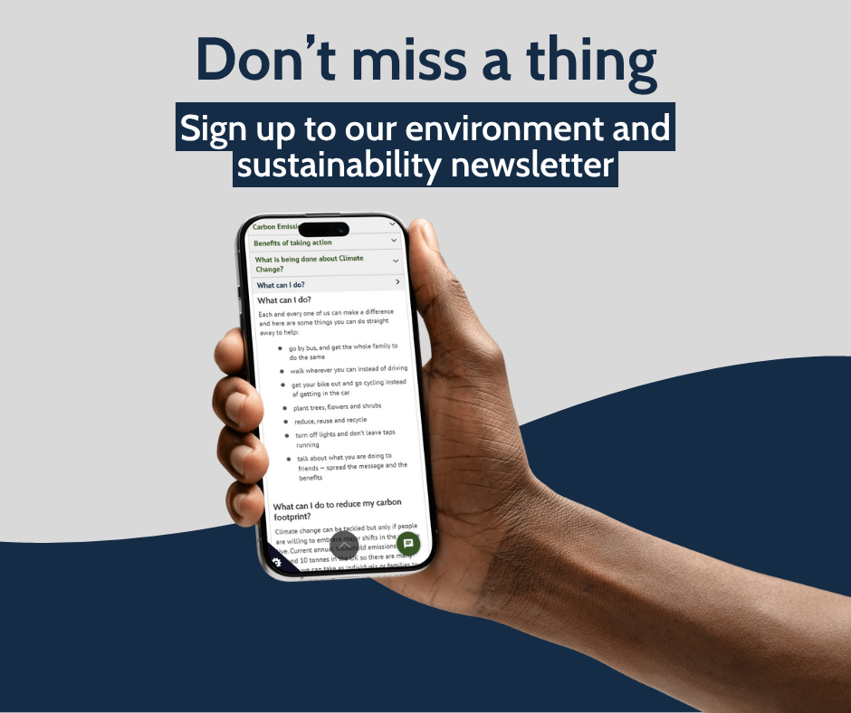 environment and sustanaibility enewsletter