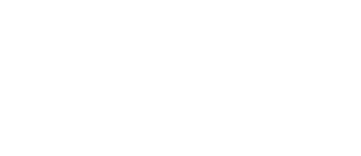 healthy homes white logo