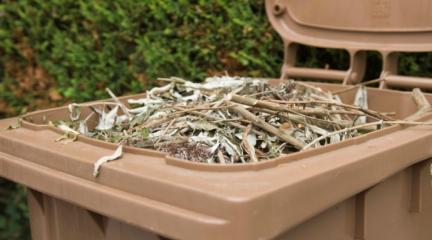 A brown bin