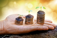 Hand holding trees growing on stacks of coins