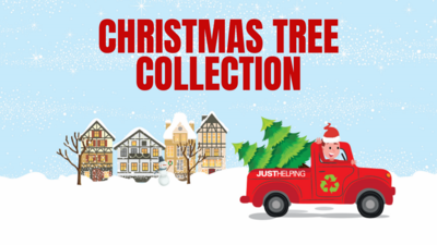 Houses and trees covered in snow with a person in a Santa hat driving a truck with Christmas trees in the back. Text reads Christmas tree collection.