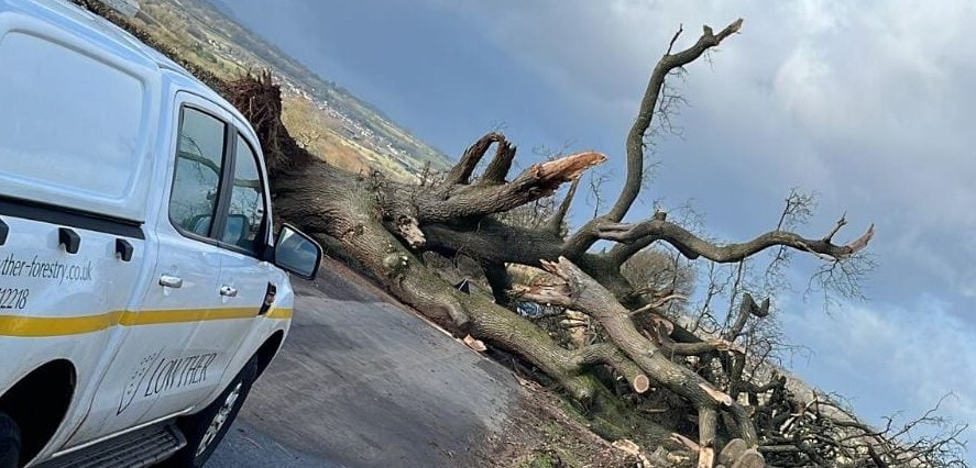 Fallen tree blocking an unclassified road near Penrith 