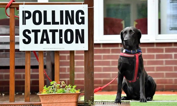 Dogs at polling stations