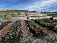 Compost demo site