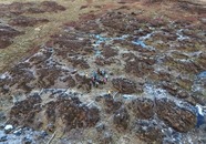 Hartley Common peatland restoration