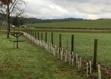 Sedgwick Parish Council