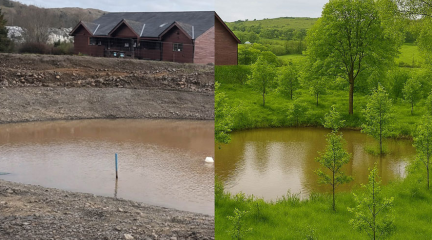 Artist representation of after the Community Tree Planting Event