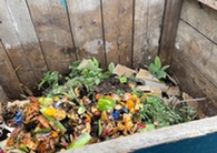 Food scraps ready to be composted