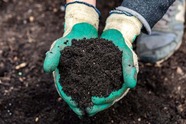 Hands holding some composted soil