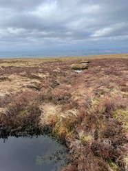 Fiends Fell peatland