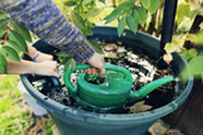 Watering can being filled up from a water butt