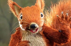 Twiggy the red squirrel