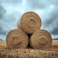bales