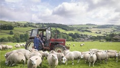 farm