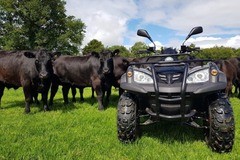 Quad