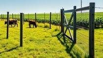 fencing 