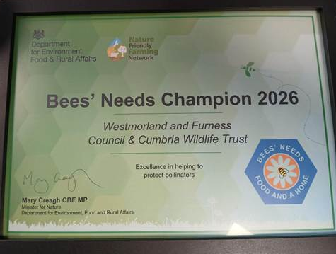 Bees' Needs Champion Award