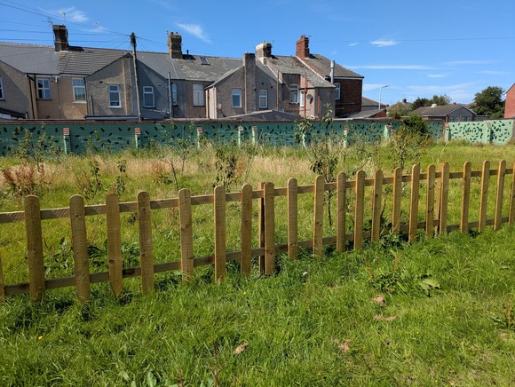 Cambridge Primary School orchard