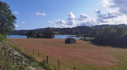 Scenic landscape meadow overlooking lake