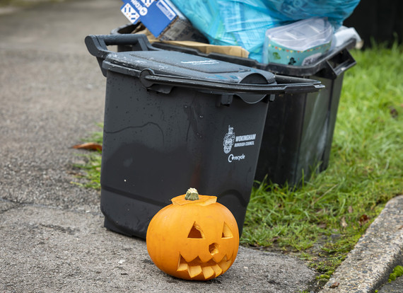 Recycle your pumpkins as food waste