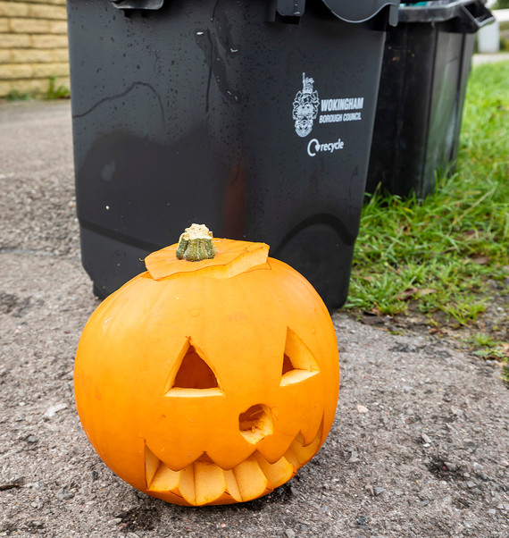 Recycle your pumpkin this week