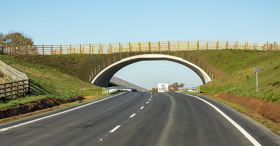 Shot of the Arborfield relief road's green bridge on a sunny day