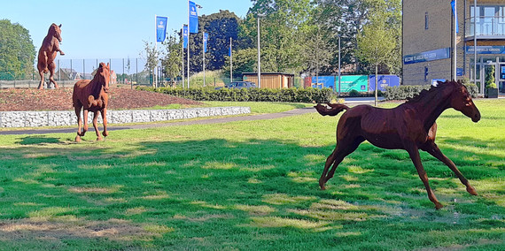 photo of three iron sculptures of horses running and jumping at Arborfield Green